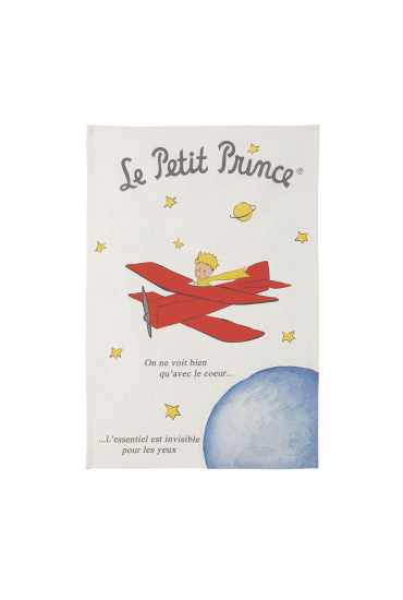 coucke-torchon-le-petit-prince-avion-de-saint-exupery.png