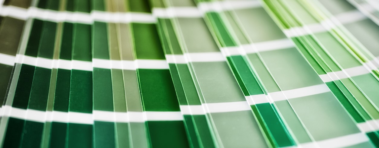 Palette vert